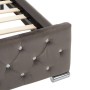 Gray velvet bed frame 160x200 cm by vidaXL, Beds and slatted bases - Ref: Foro24-286833, Price: 379,60 €, Discount: %