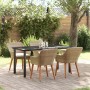 Conjunto de Comedor de Jardín 5 pcs Beige ratán sintético