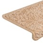 Alfombrillas para escaleras 15 unidades 65x21x4 cm Borde