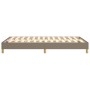 Taupe gray fabric bed frame 120x200 cm by vidaXL, Beds and slatted bases - Ref: Foro24-3120602, Price: 111,66 €, Discount: %