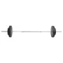 Barbell set with 30 kg weights by vidaXL, free weight - Ref: Foro24-93585, Price: 112,76 €, Discount: %