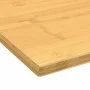 Bambus-Schreibtischplatte 100x50x1,5 cm von vidaXL, Schreibtischzubehör und Produkte - Ref: Foro24-352737, Preis: 27,55 €, Ra...