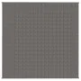 Gewichtsdecke aus grauem Stoff, 200 x 200 cm, 13 kg von vidaXL, Decken - Ref: Foro24-350779, Preis: 73,29 €, Rabatt: %