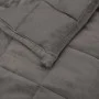 Weighted blanket, gray fabric, 200x220 cm, 9 kg by vidaXL, Blankets - Ref: Foro24-3154839, Price: 69,18 €, Discount: %