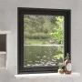 Magnetic mosquito net for windows anthracite gray 100x120 cm by vidaXL, Mosquito nets for windows - Ref: Foro24-153852, Price...