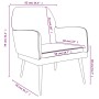 Light gray velvet armchair 62x79x79 cm by vidaXL, Armchairs - Ref: Foro24-351372, Price: 99,70 €, Discount: %