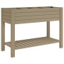 Hoher hellbrauner Pflanzkasten aus Polypropylen, 110 x 45 x 79 cm von vidaXL, Töpfe und Pflanzgefäße - Ref: Foro24-364176, Pr...