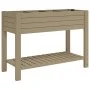 Hoher hellbrauner Pflanzkasten aus Polypropylen, 110 x 45 x 79 cm von vidaXL, Töpfe und Pflanzgefäße - Ref: Foro24-364176, Pr...
