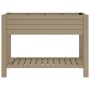 Hoher hellbrauner Pflanzkasten aus Polypropylen, 110 x 45 x 79 cm von vidaXL, Töpfe und Pflanzgefäße - Ref: Foro24-364176, Pr...