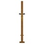 Puerta de jardín acero corten diseño hierba 105x80 cm