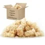 Encendedores BIO 5 kg de vidaXL, Accesorios para barbacoas - Ref: Foro24-151344, Precio: 54,69 €, Descuento: %
