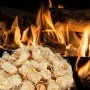 Encendedores BIO 10 kg de vidaXL, Accesorios para barbacoas - Ref: Foro24-151345, Precio: 68,50 €, Descuento: %