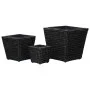 Set aus 3 Beeten mit schwarzen Wasserhyazinthen. von vidaXL, Töpfe und Pflanzgefäße - Ref: Foro24-45573, Preis: 49,15 €, Raba...