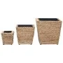 Conjunto de arriates 3 piezas jacinto de agua de vidaXL, Maceteros y jardineras - Ref: Foro24-45571, Precio: 74,00 €, Descuen...