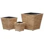 Conjunto de arriates 3 piezas jacinto de agua de vidaXL, Maceteros y jardineras - Ref: Foro24-45571, Precio: 74,00 €, Descuen...