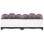 Arriate polipropileno 80x40x23 cm
