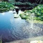 Ubbink BioPressure 18000 Pond Filter 18 W by Ubbink, Accessories for ponds and fountains - Ref: Foro24-428544, Price: 283,81 ...