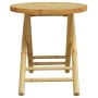 Juego de mesa y sillas de jardín 3 piezas bambú