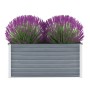 Graues Gartenbett aus verzinktem Stahl, 100 x 40 x 45 cm von vidaXL, Töpfe und Pflanzgefäße - Ref: Foro24-44854, Preis: 41,78...