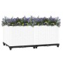 Arriate polipropileno 80x40x38 cm