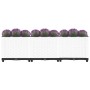 Arriate polipropileno 120x40x38 cm
