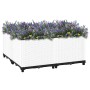 Arriate polipropileno 80x80x38 cm