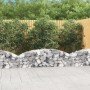 Cesta de gaviones forma arco hierro galvanizado 200x30x40/60 cm en Maceteros y jardineras | Comprar online en Foro24