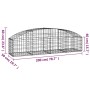 Cesta de gaviones forma arco hierro galvanizado 200x50x40/60 cm