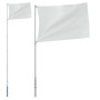 Mástil de bandera telescópico aluminio plateado 5,55 m
