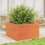 Jardinera madera maciza de pino marrón cera 80x80x46 cm