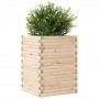 Jardinera de madera maciza de pino 50x50x68,5 cm