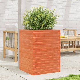 Jardinera madera maciza de pino marrón cera 50x50x68,5 cm