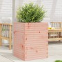 Jardinera madera maciza de abeto Douglas 50x50x68,5 cm