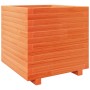 Jardinera madera maciza de pino marrón cera 50x50x49,5 cm