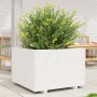 Jardinera madera maciza de pino blanco 70x70x49,5 cm
