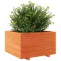 Jardinera madera maciza de pino marrón cera 80x80x49,5 cm