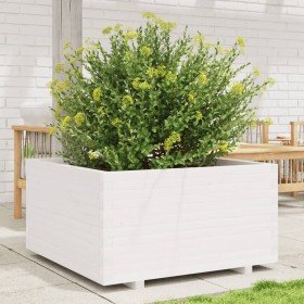Jardinera madera maciza de pino blanco 90x90x49,5 cm en Maceteros y jardineras | Comprar online en Foro24
