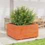 Jardinera madera maciza de pino marrón cera 90x90x49,5 cm