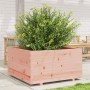 Jardinera madera maciza de abeto Douglas 90x90x49,5 cm