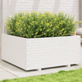 Jardinera madera maciza de pino blanco 100x100x49,5 cm