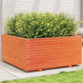 Jardinera madera maciza de pino marrón cera 100x100x49,5 cm