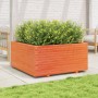 Jardinera madera maciza de pino marrón cera 100x100x49,5 cm