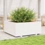 Jardinera madera maciza de pino blanco 110x110x49,5 cm