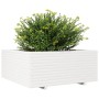 Jardinera madera maciza de pino blanco 110x110x49,5 cm