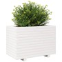 Jardinera madera maciza de pino blanco 70x40x49,5 cm