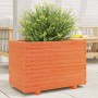 Jardinera madera maciza de pino marrón cera 70x40x49,5 cm