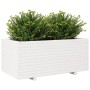 Jardinera madera maciza de pino blanco 110x60x49,5 cm