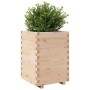 Jardinera madera maciza de pino 50x50x72,5 cm