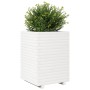Jardinera madera maciza de pino blanco 50x50x72 cm