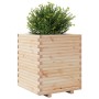 Jardinera madera maciza de pino 60x60x72 cm